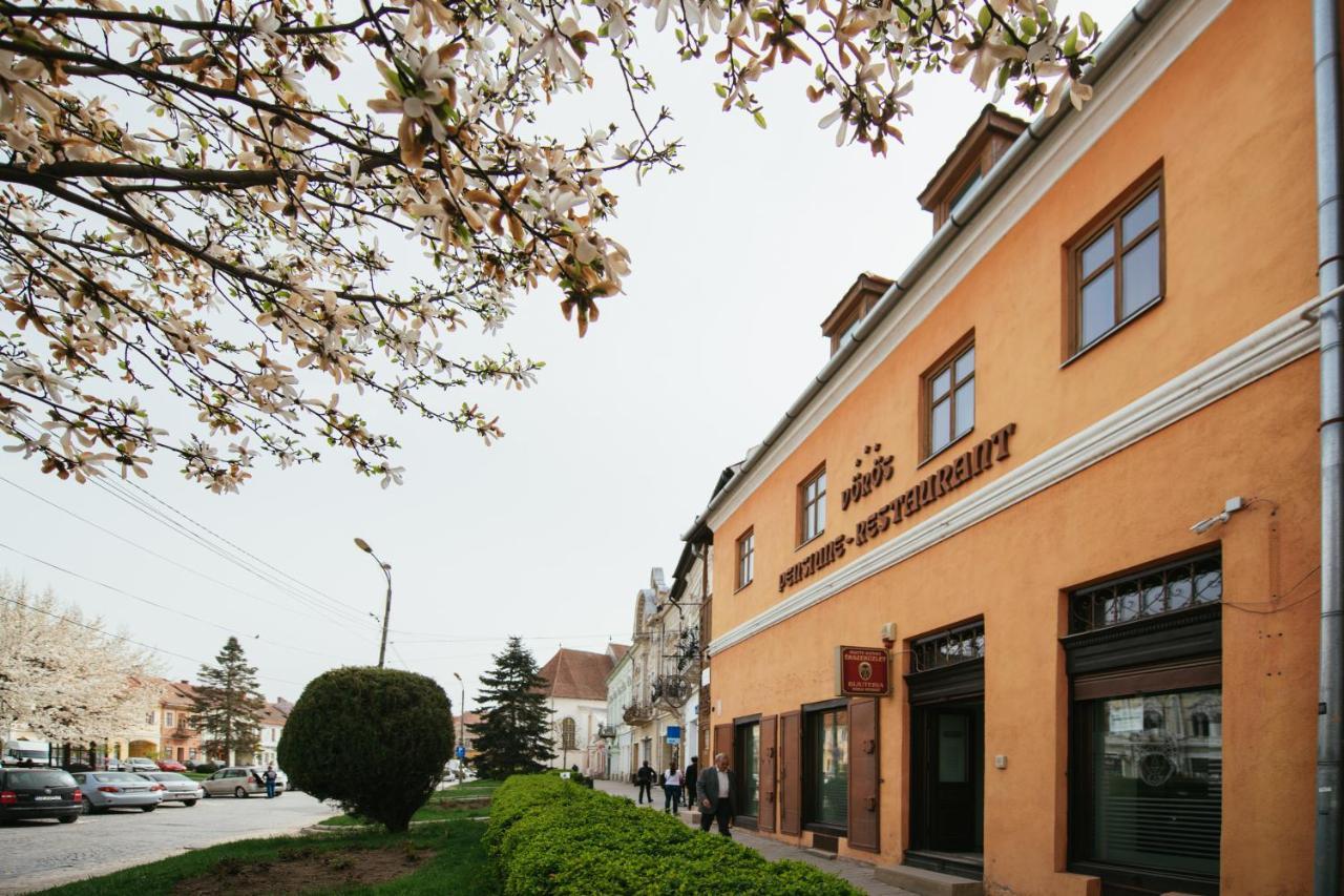 Voeroes Guest House Târgu Secuiesc Exterior foto