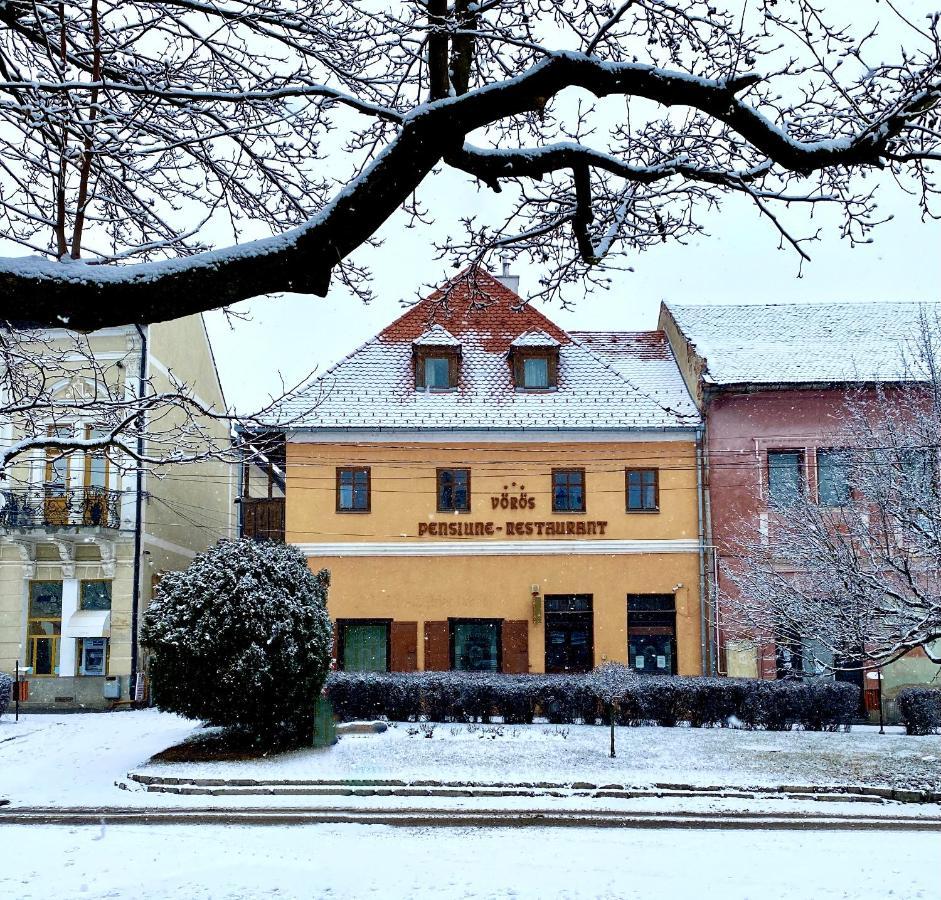 Voeroes Guest House Târgu Secuiesc Exterior foto